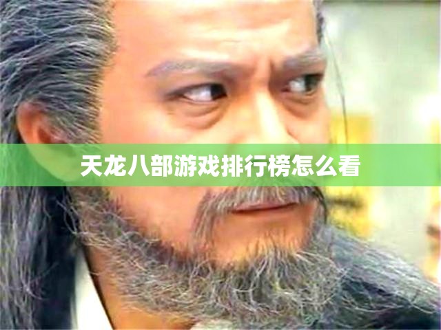 天龙八部游戏排行榜怎么看