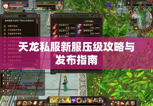 天龙私服新服压级攻略与发布指南