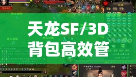 天龙SF/3D背包高效管理技巧全攻略