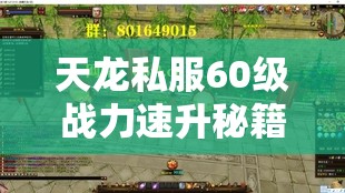 天龙私服60级战力速升秘籍全解析