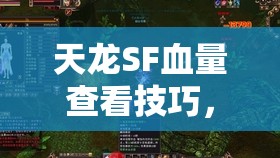 天龙SF血量查看技巧，角色状态管理全解析