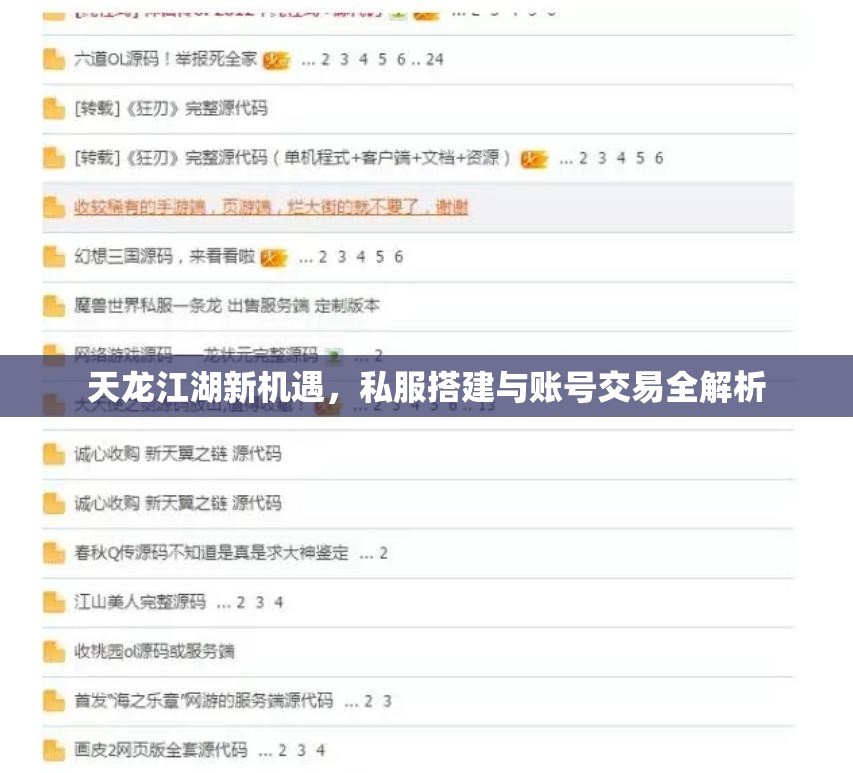 天龙江湖新机遇，私服搭建与账号交易全解析