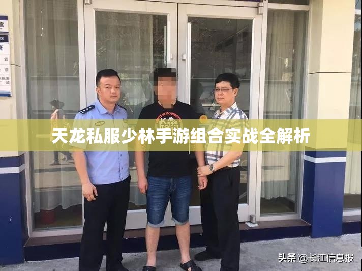 天龙私服少林手游组合实战全解析