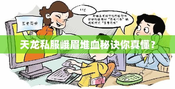 天龙私服峨眉堆血秘诀你真懂？