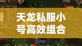 天龙私服小号高效组合攻略